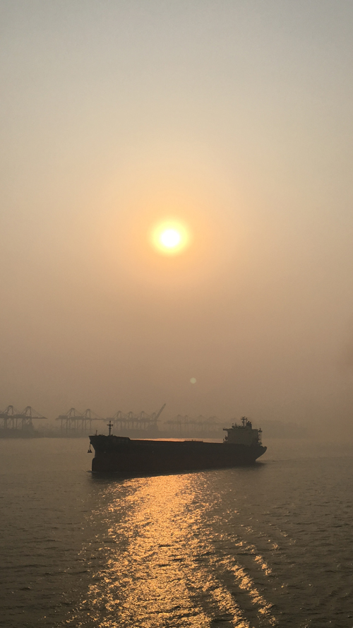 1571020823670849.jpg 24.jpg