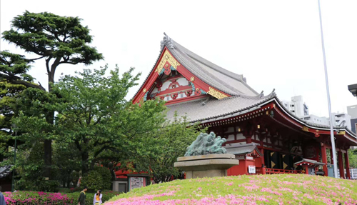 1571029903510035.jpg 41.jpg