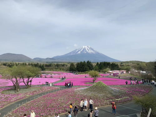 1571030222762771.jpg 47.jpg