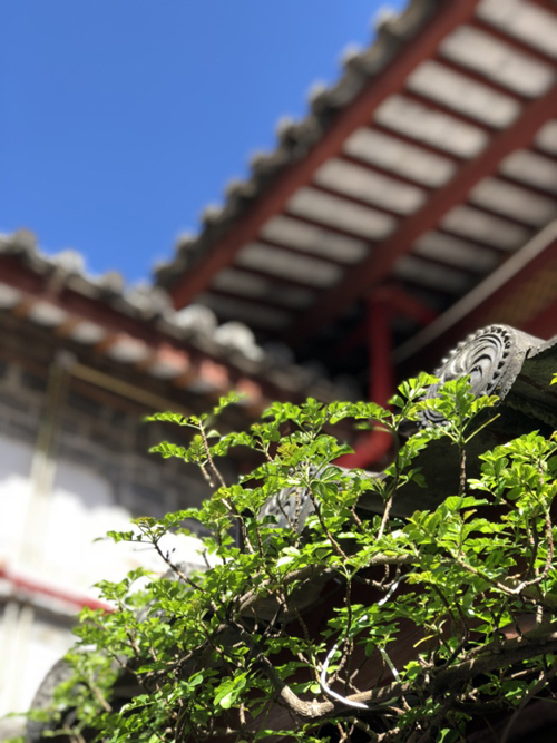 1571033424424527.jpg 92.jpg