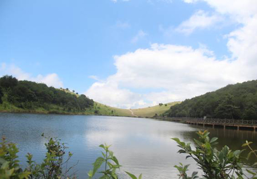 1571101702803202.jpg 164.jpg