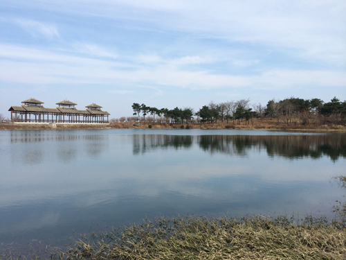 1571103004903165.jpg 176.JPG