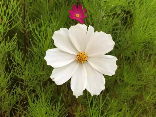 1571103133310782.jpg 180.jpg