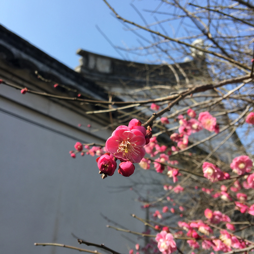 1571103220708562.jpg 183.JPG