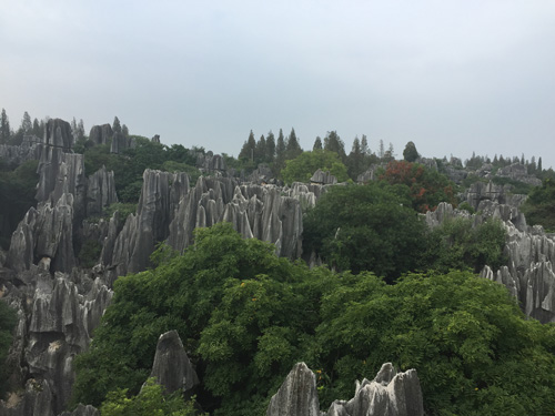 1571104198437278.jpg 199.JPG