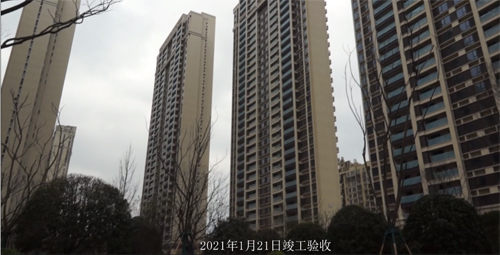 1651103908647845.jpg 1.jpg