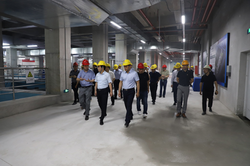 1687678646254439.jpg 1.jpg