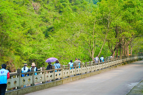 1713514252785162.jpg 05 五龍潭景區(qū)遊玩(wán)照(zhào)-4.jpg